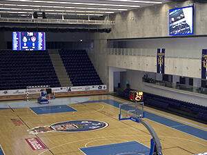 Arena Dragão