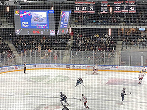 Angers IceParc