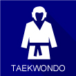 icone TAEKWONDO