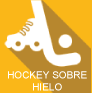 icone Rink-Hockey