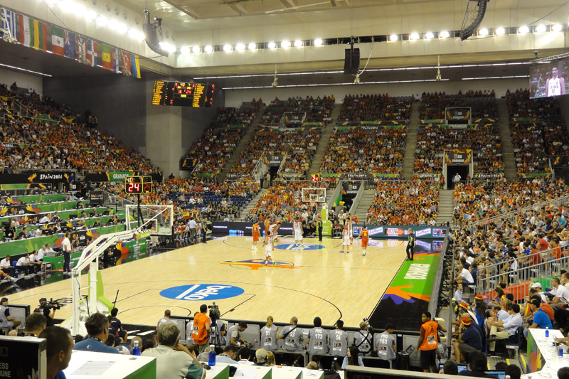 Basketball World Championship 2014