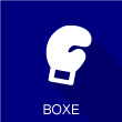 icone boxe