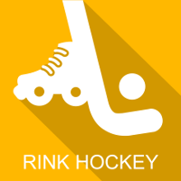 icone rink hockey